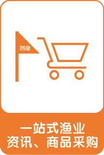 &#20122;&#23089;&#20307;&#32946;